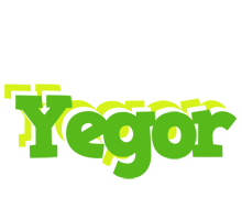 Yegor picnic logo