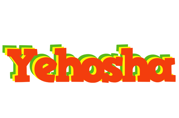 Yehosha bbq logo