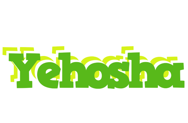 Yehosha picnic logo