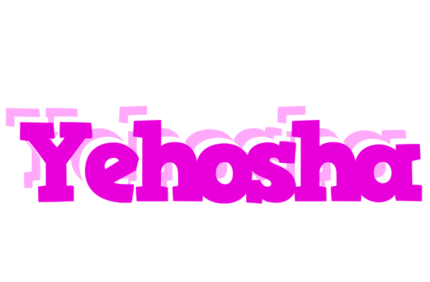 Yehosha rumba logo