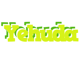 Yehuda citrus logo