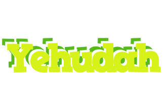 Yehudah citrus logo