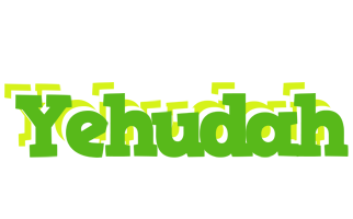 Yehudah picnic logo