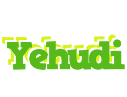 Yehudi picnic logo