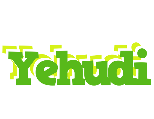 Yehudi picnic logo