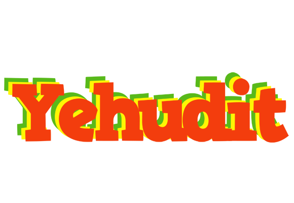 Yehudit bbq logo