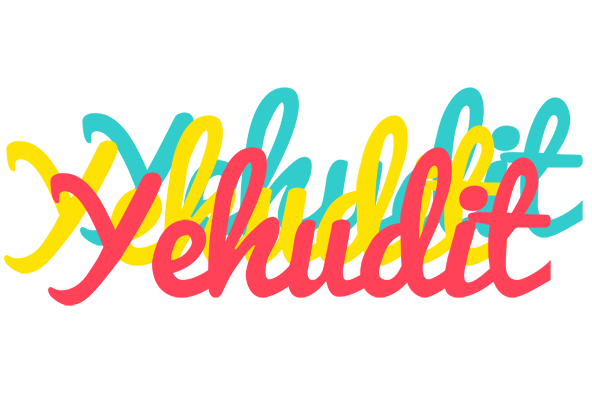 Yehudit disco logo