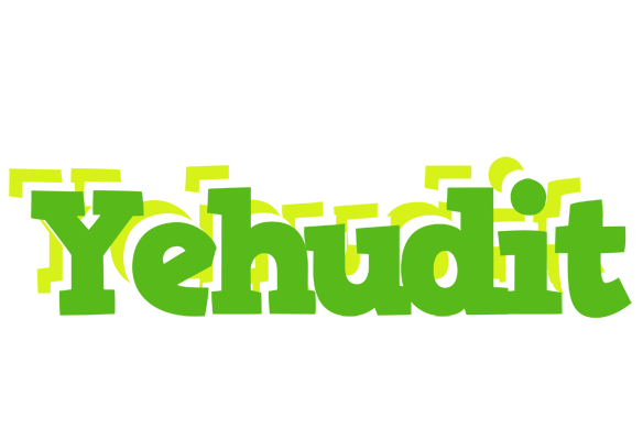 Yehudit picnic logo