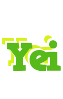 Yei picnic logo