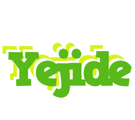 Yejide picnic logo