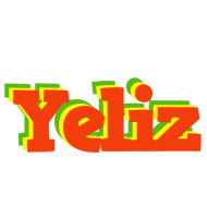 Yeliz bbq logo