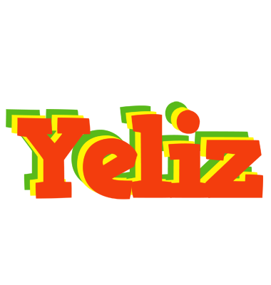 Yeliz bbq logo
