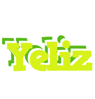 Yeliz citrus logo