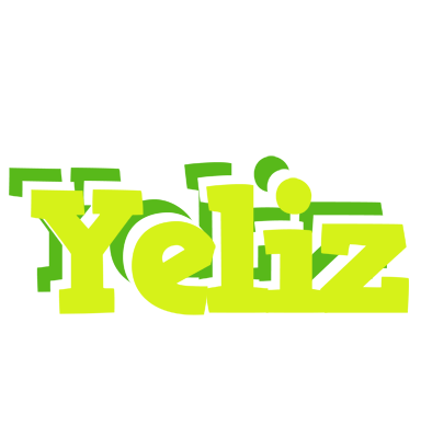 Yeliz citrus logo