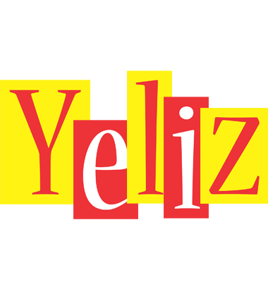 Yeliz errors logo