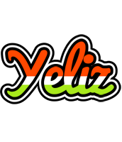 Yeliz exotic logo