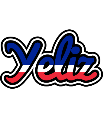 Yeliz france logo