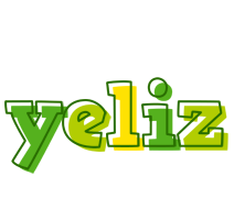 Yeliz juice logo