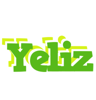 Yeliz picnic logo
