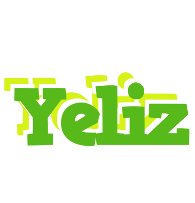 Yeliz picnic logo
