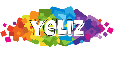 Yeliz pixels logo