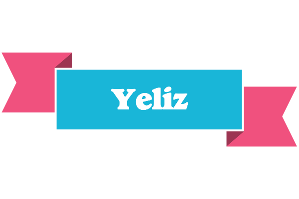 Yeliz today logo