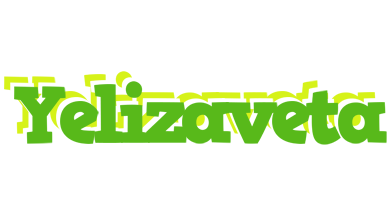 Yelizaveta picnic logo