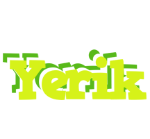 Yerik citrus logo