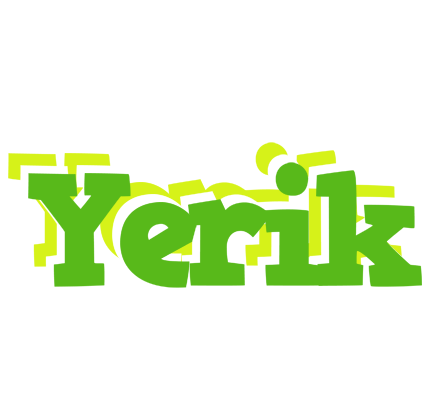 Yerik picnic logo