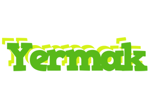 Yermak picnic logo