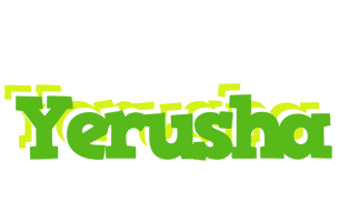 Yerusha picnic logo