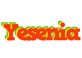 Yesenia bbq logo