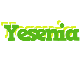 Yesenia picnic logo