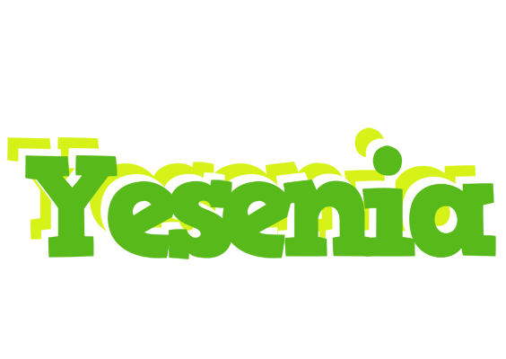 Yesenia picnic logo