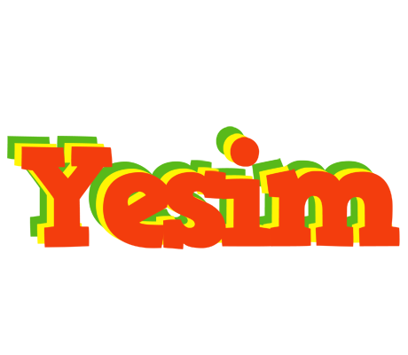 Yesim bbq logo