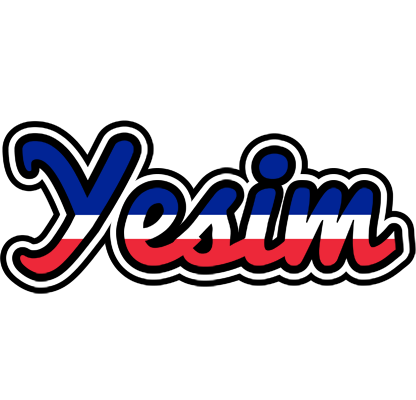 Yesim france logo