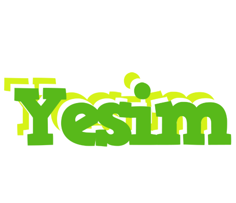 Yesim picnic logo