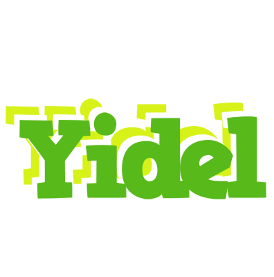 Yidel picnic logo