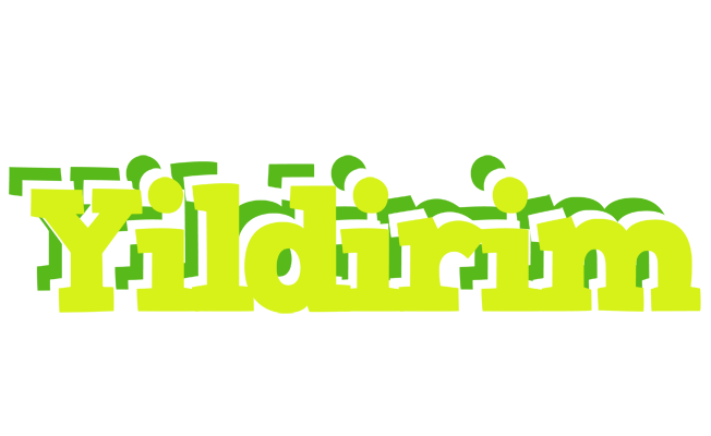 Yildirim citrus logo