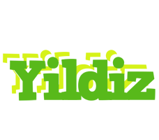 Yildiz picnic logo