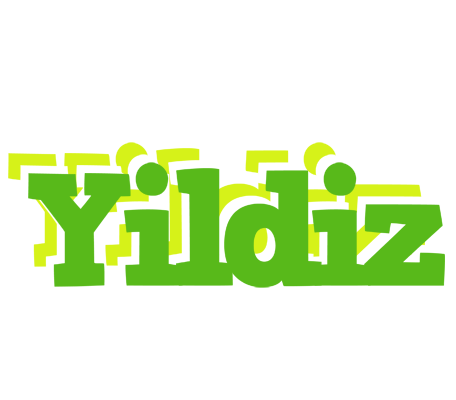 Yildiz picnic logo