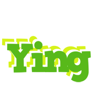 Ying picnic logo