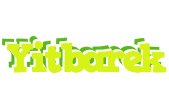 Yitbarek citrus logo