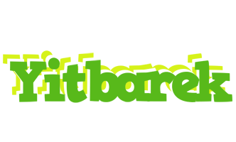 Yitbarek picnic logo