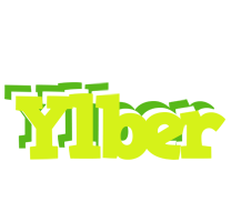 Ylber citrus logo