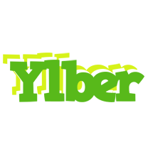 Ylber picnic logo