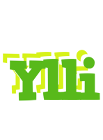 Ylli picnic logo