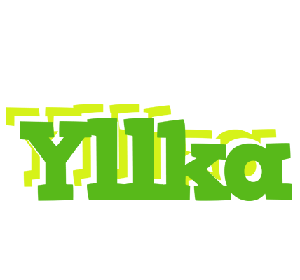 Yllka picnic logo