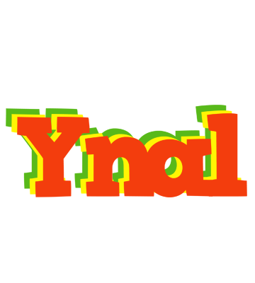 Ynal bbq logo