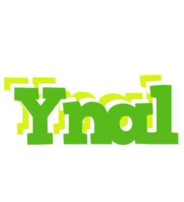 Ynal picnic logo